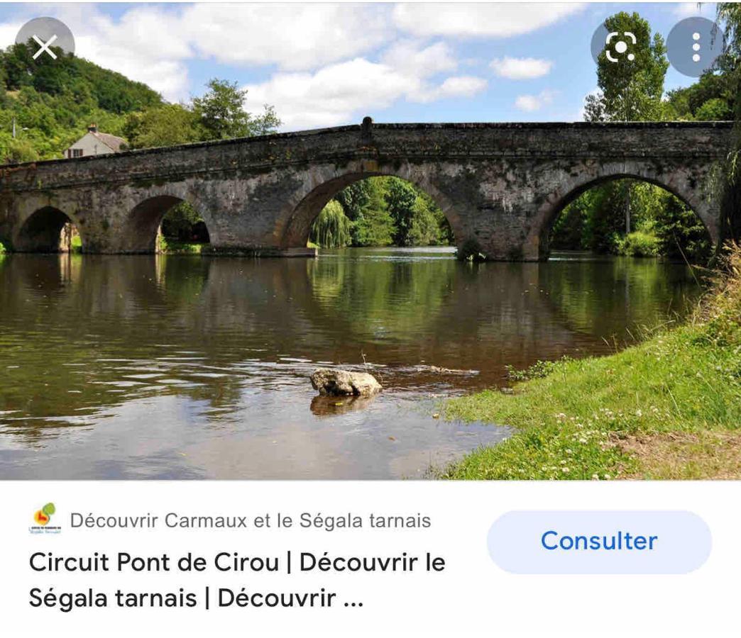 Le Gite De Las Peyros Mirandol-Bourgnounac Εξωτερικό φωτογραφία